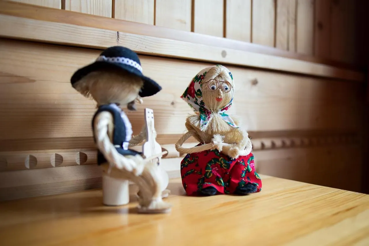 Domek alpejski Domek Goralski Blizniak Szalas Michalikow Skibowki By Rentilopl Zakopane